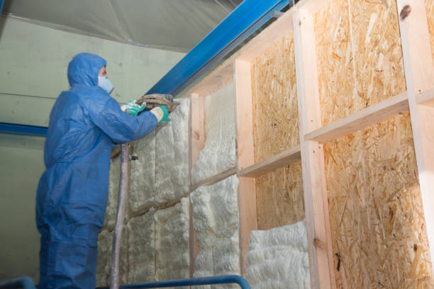 Best Local Insulation Services  in Dover, TN